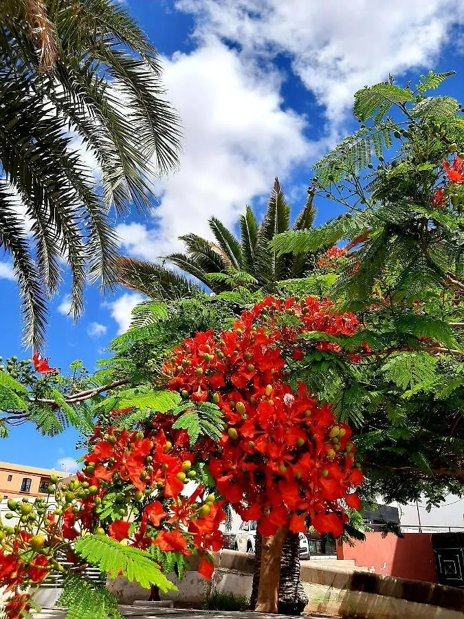 Appartement La Cueva Del Bounty à Puerto del Rosario  Espagne